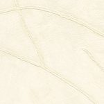 VP_1004_01
