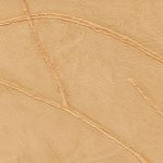 VP_1004_12