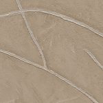 VP_1004_61