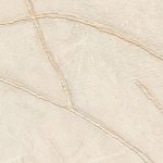 VP_1004_81